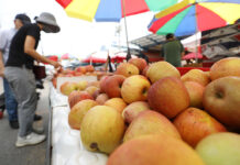 서울 전통시장 16곳에 농산물 납품단가 지원…최대 49.5% 할인