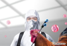 Q&A로 알아보는 ‘조류인플루엔자 인체감염증’