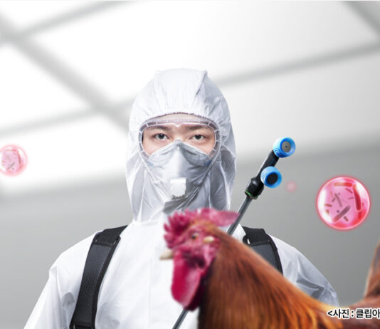 Q&A로 알아보는 ‘조류인플루엔자 인체감염증’