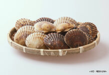 영양가 풍부한 11월 수산물 2가지