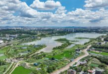 경기도, 기흥·왕송저수지 ‘녹조라떼’ 없앤다…예방·제거비용 지원